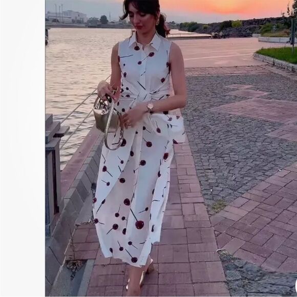 Zara Lollipop Printed Poplin Shirtdress ZW Collection 2024 XS NWT - Picture 4 of 16